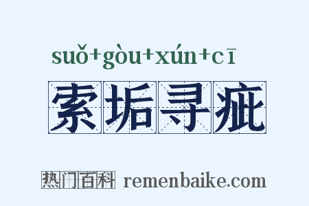索垢寻疵是什么意思的图片